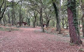 Cap Village